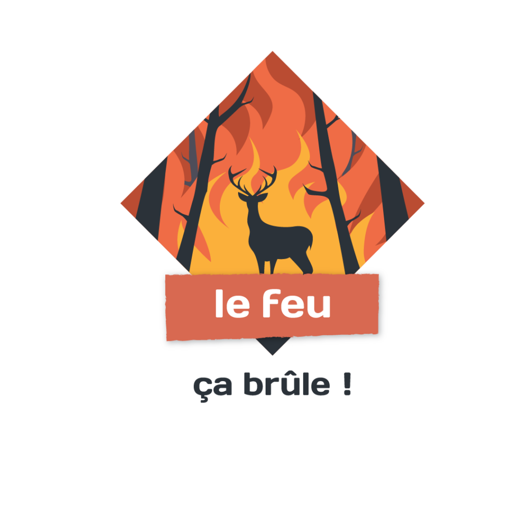 feu forêt Fontainebleau protéger