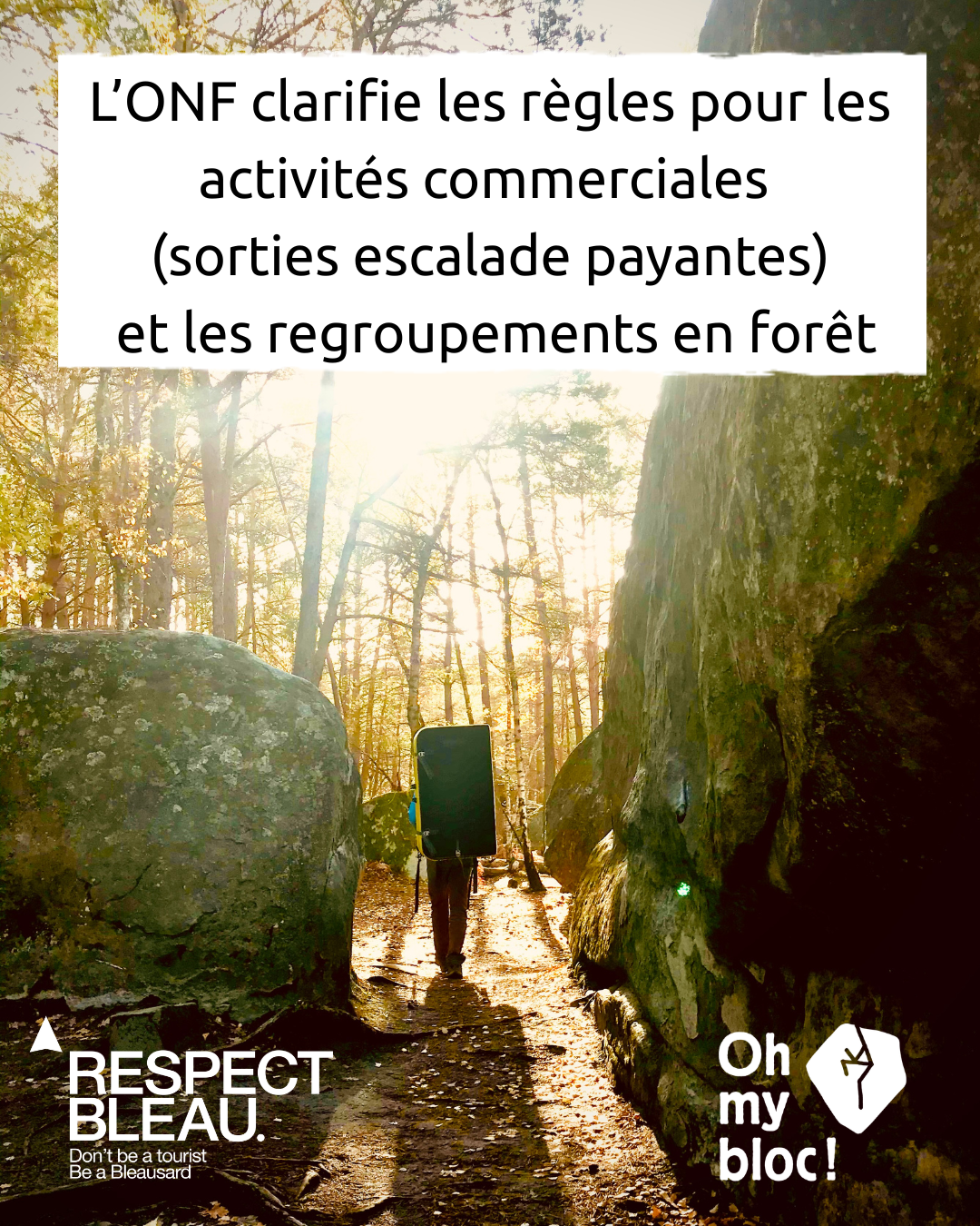 bleau, font, boulder, bouldering